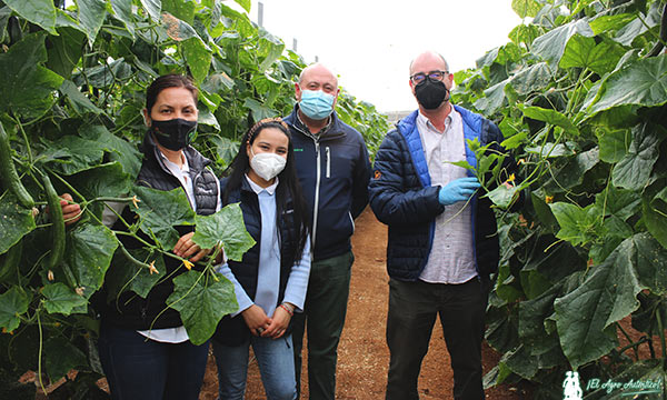 Miembros del equipo de Hazera con el agricultor Francisco J. Salmerón. / agroautentico.com