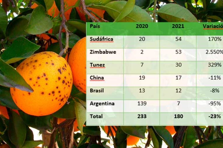 La Unió cuantifica la importación de plagas de Zimbaue, Sudáfrica y Túnez