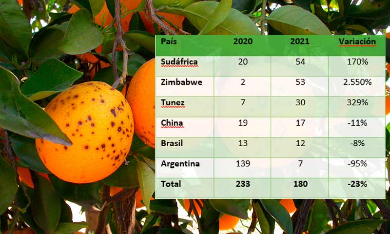La Unió cuantifica la importación de plagas de Zimbaue, Sudáfrica y Túnez