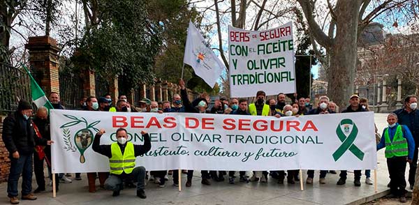 Olivar tradicional en la manifestación del mundo rural el 23 de enero en Madrid. / agroautentico.com