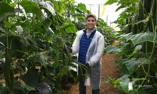 Cecilio Fernández, desarrollo de cucurbitáceas en Sakata.- agroautentico.com