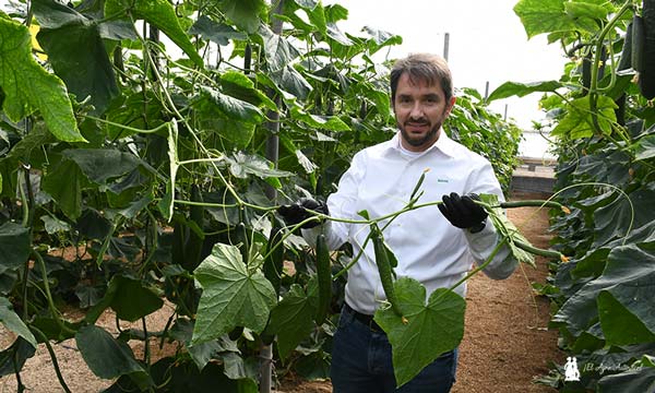 Matías García, regional area manager de Sakata-agroautentico.com