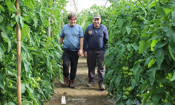 Ricardo Ruiz, técnico de Unicom, con el agricultor Antonio Alcántara. / agroautentico.com