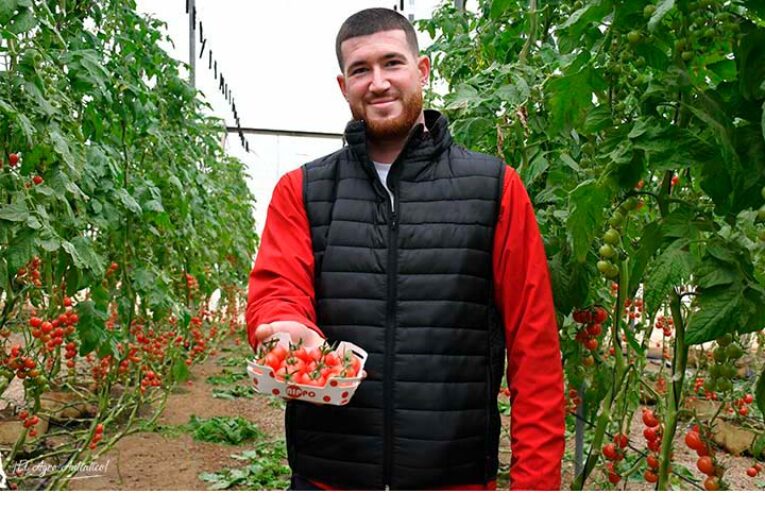 Unica avanza con Nippo hacia un tomate único y singular