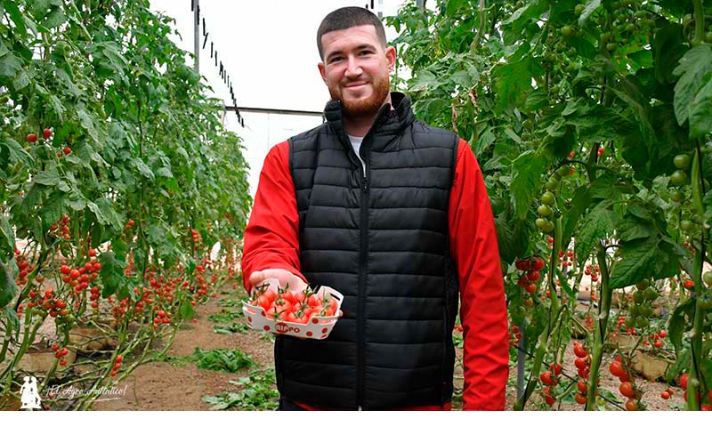 Unica avanza con Nippo hacia un tomate único y singular