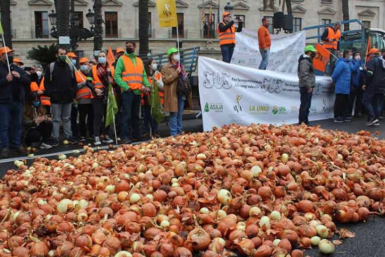 Producir y malvender 37 kilos de cebollas dan para comprar un champú