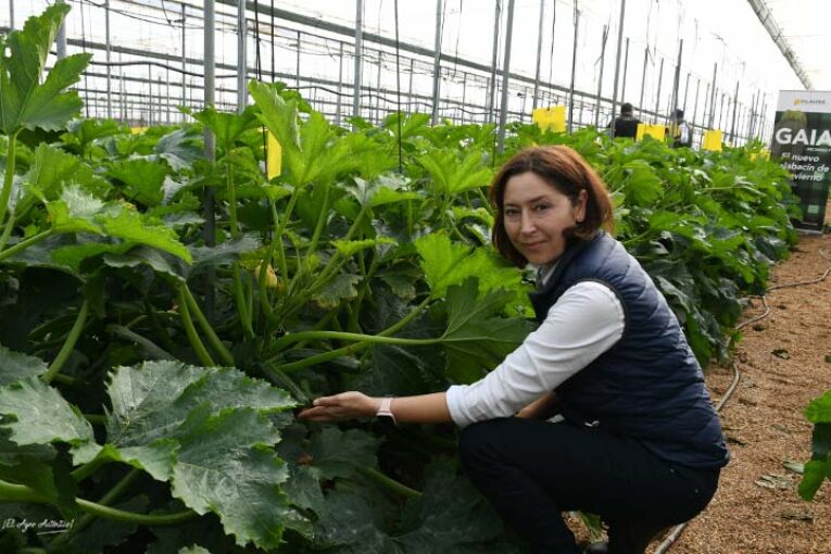 Gaia es el nuevo calabacín de invierno de HM.Clause