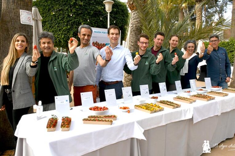 Gautier renueva su catálogo de tomate para España con grandes novedades