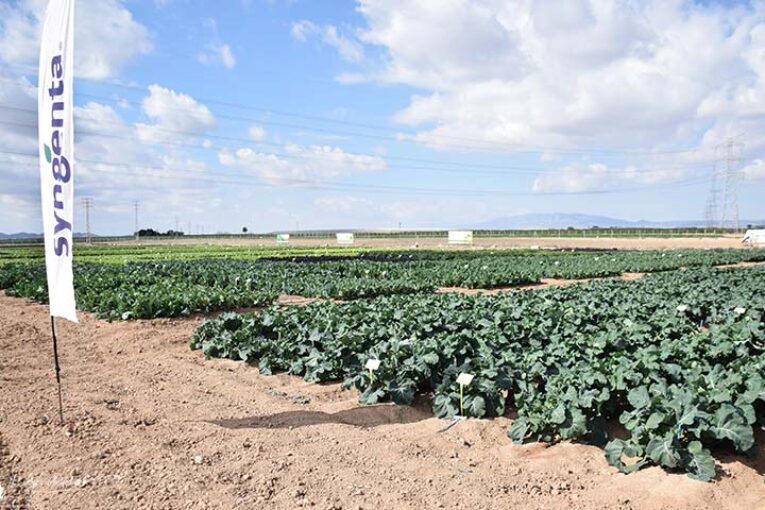 Syngenta invertirá 2,4 € millones en sus centros de I+D de Murcia y Almería