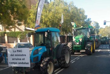 El sector agrícola almeriense exigirá soluciones este viernes en Sevilla