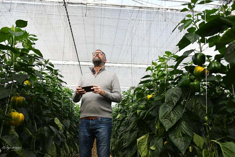 Un inglés afincado en Almería produce con High Tech en Níjar, Holanda e Inglaterra