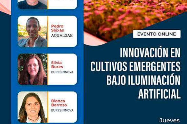 Día 24 de febrero. Cultivos emergentes bajo iluminación artificial