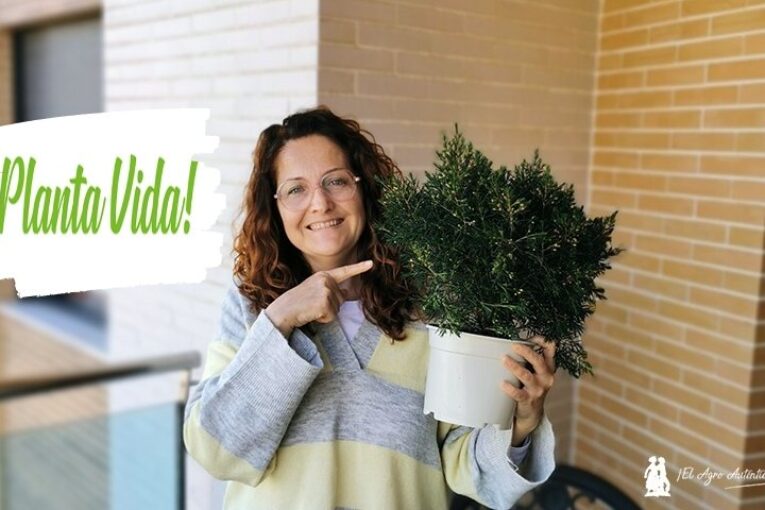 Los productores de ornamental hacen posible San Valentín