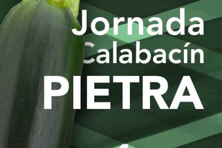 Día 4 de febrero. Jornada de calabacín de HM.Clause
