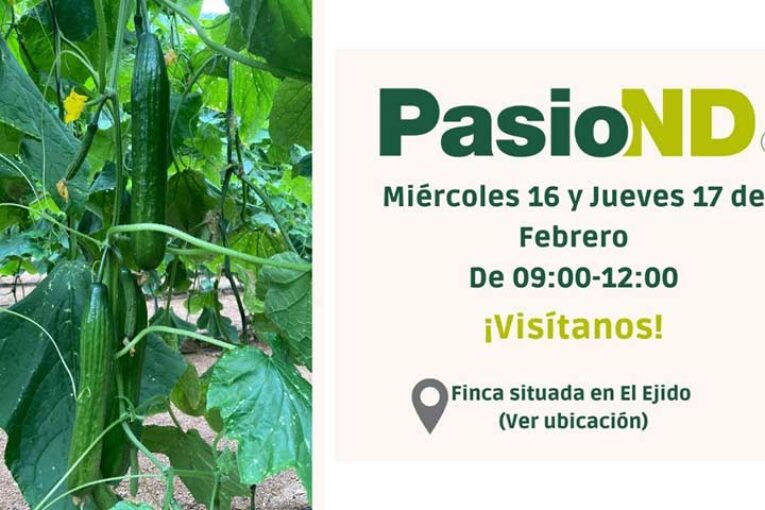 Días 16 y 17 de febrero. Jornadas de pepino de Hazera