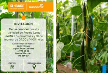 Días 9 y 10 de febrero. Jornadas de pepino de BASF | Nunhems