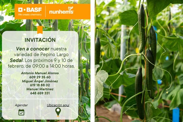 Días 9 y 10 de febrero. Jornadas de pepino de BASF | Nunhems