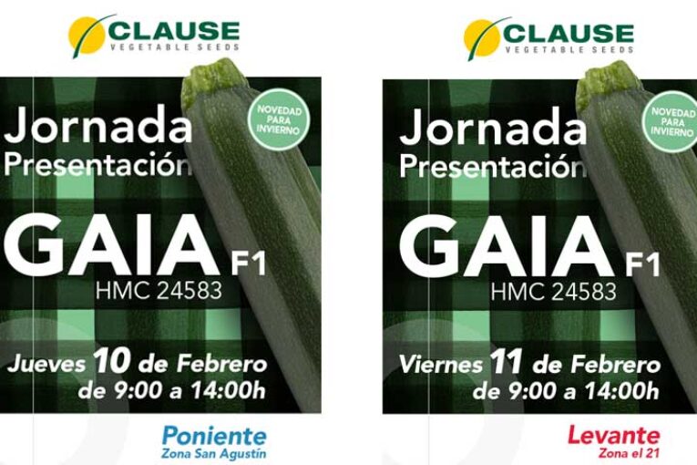 Días 10 y 11 de febrero. Jornadas de calabacín de HM.Clause