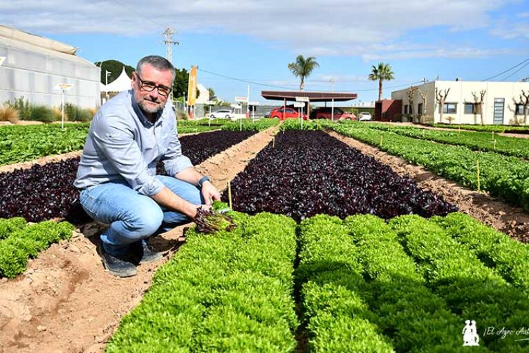 BASF se adelanta a la inminente mecanización del campo murciano
