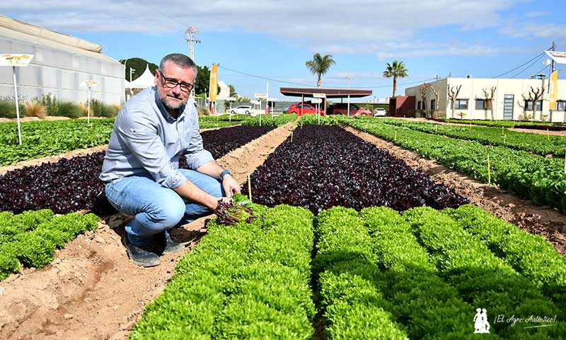 Juan Pedro Pérez Abellán, especialista de cultivo de BASF / agroautentico.com