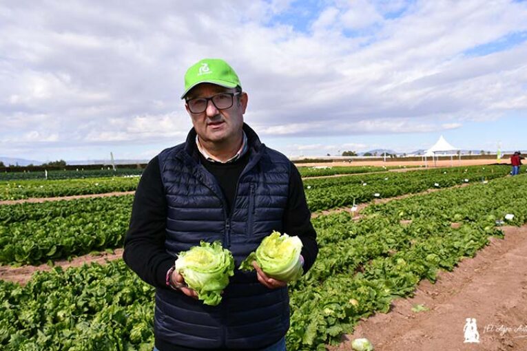 Rijk Zwaan alarga la vida útil de la iceberg con el gen Knox
