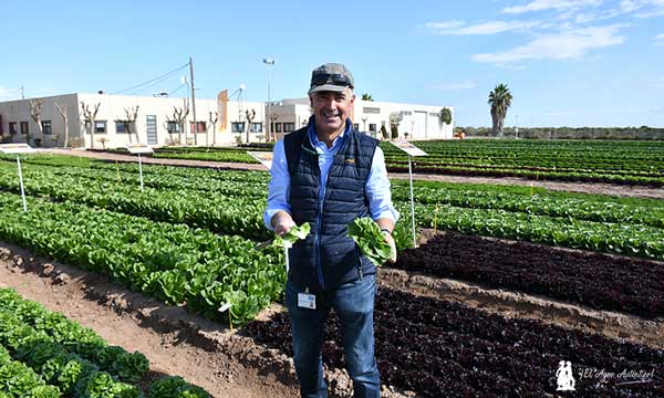 Gregorio Pérez-Crespo, especialista de cultivo de BASF. / agroautentico.com