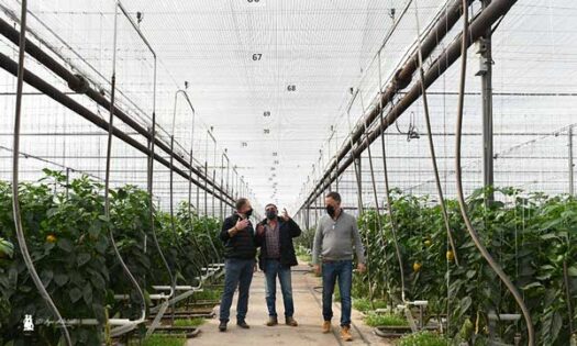 Un Ingl s Afincado En Almer a Produce Con High Tech En N jar Holanda E un-ingl-s-afincado-en-almer-a-produce-con-high-tech-en-n-jar-holanda-e