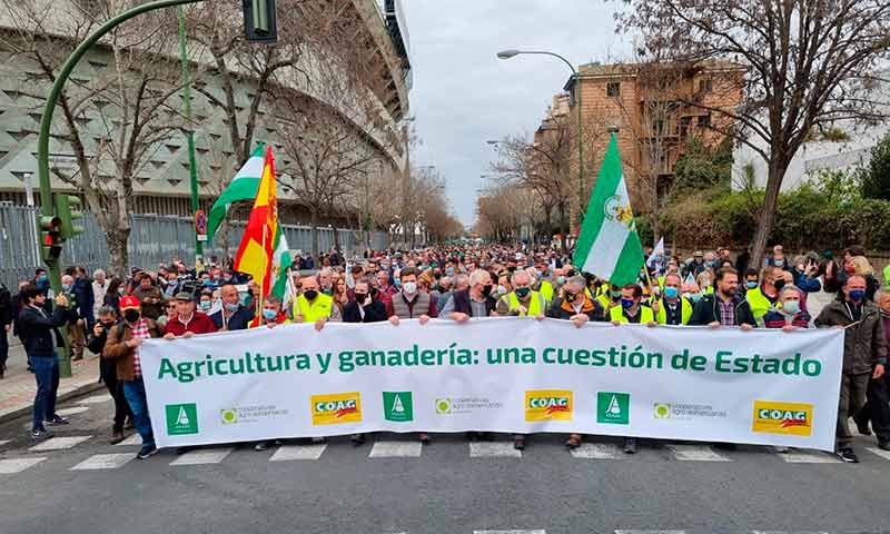 Protesta en Sevilla: sin agricultura y ganadería, Andalucía no es nada