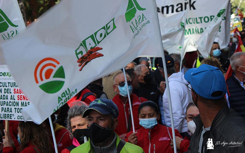 Manifestación agrícola 16 de febrero en Murcia. / agroautentico.com