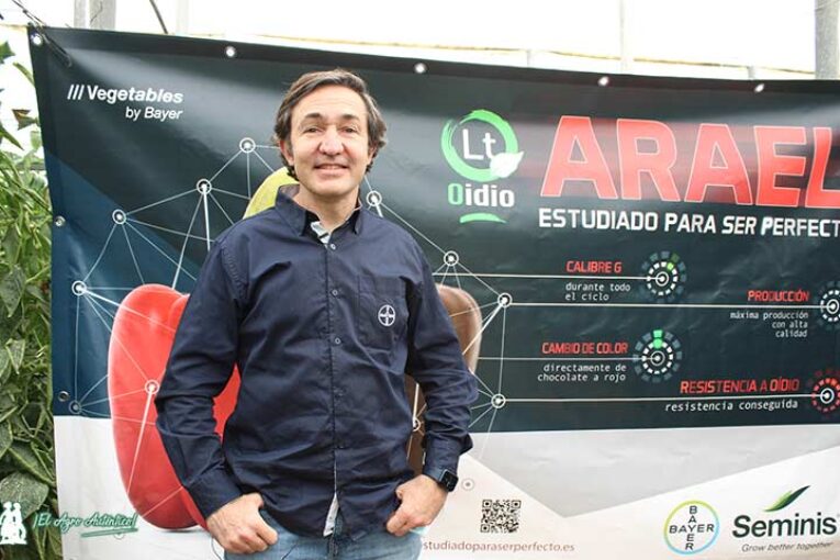 Seminis prepara el lanzamiento de Arael en semilla orgánica