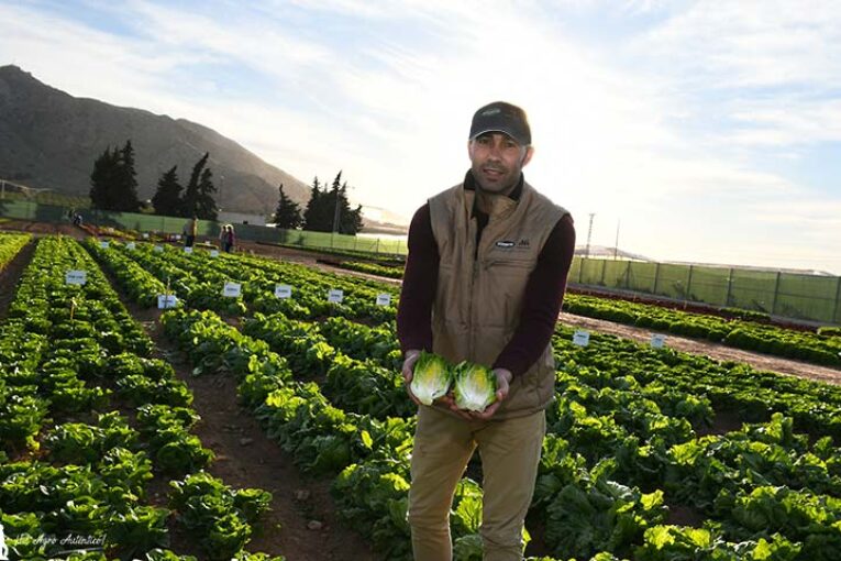 Mini romanas a la carta en la finca de Vilmorin en Murcia