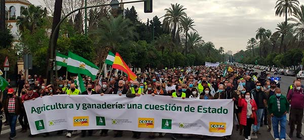 Protesta de agricultores y ganaderos de Coag, Asaja y Cooperativas Agro-alimentarias en Sevilla. / agroautentico.com