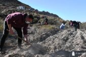 Biosur llama al sector para reforestar la Sierra de Gádor