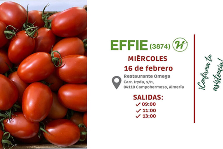 Día 16 de febrero. Jornada de tomate de Hazera