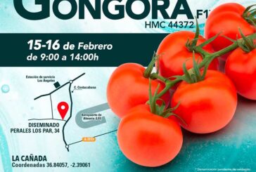 Días 15 y 16 de febrero. Jornadas de tomate de HM.Clause