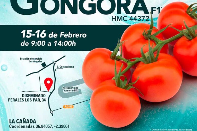 Días 15 y 16 de febrero. Jornadas de tomate de HM.Clause