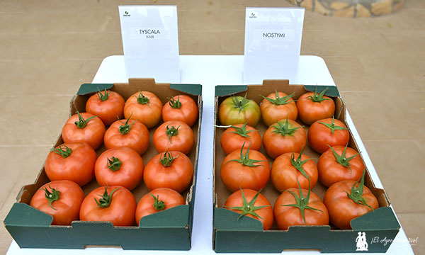 Tomates Tyscala y Nostymi de Gautier.