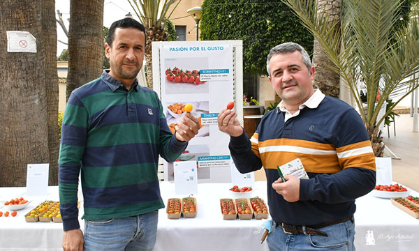 Antonio Gil y Gervasio Tapia, técnicos de SAT Costa de Níjar, con la línea de tomate cherry de Gautier. / agroautentico.com