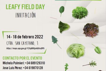 Del 14 al 18 de febrero. Leafy Field Day de Vilmorin Mikado