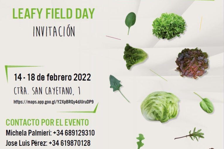 Del 14 al 18 de febrero. Leafy Field Day de Vilmorin Mikado