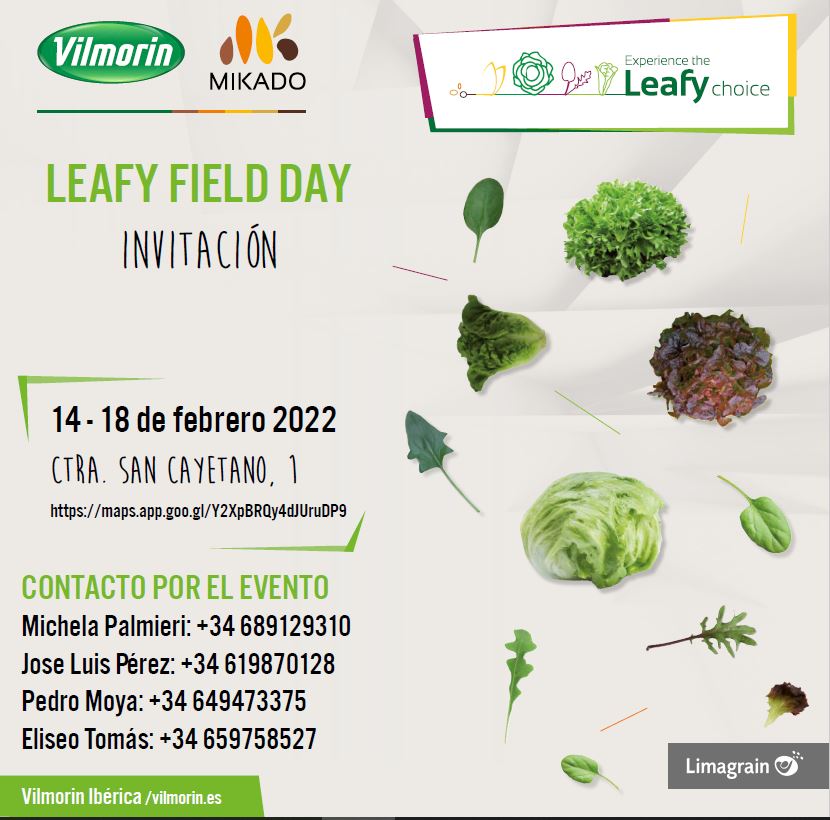 Del 14 al 18 de febrero. Leafy Field Day de Vilmorin Mikado