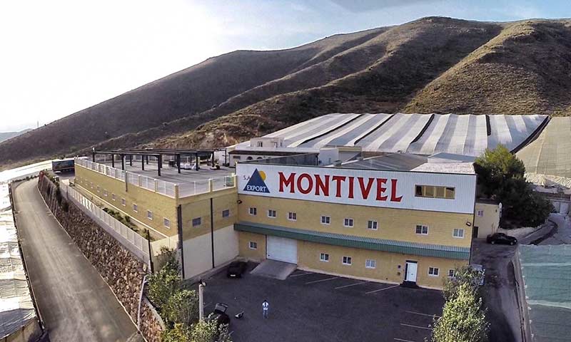 Con la incorporación de Montivel Export, Anecoop cuenta ya con siete entidades socias en Almería. El volumen comercializado por la cooperativa de segundo grado procedente de sus socios almerienses ha ascendido a 135.000 toneladas en 2021, un 16% del volumen total.  