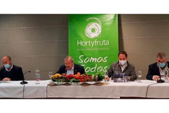 La extensión de norma que elimina las segundas en situaciones de crisis arrancará la próxima campaña