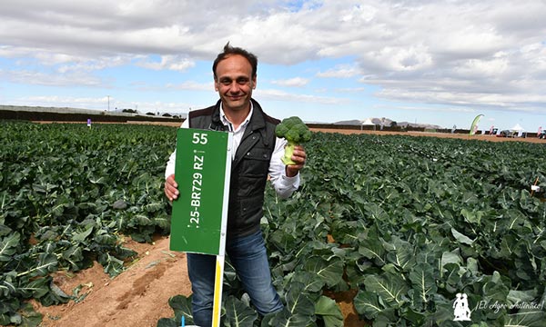Brócoli de Rijk Zwaan en Murcia. / agroautentico.com