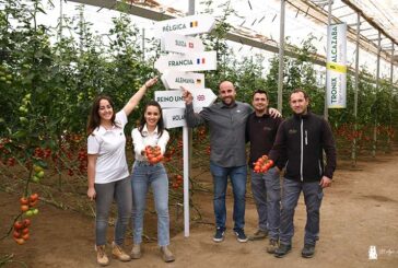 El equipo Foodture de Fitó reinventa tomates para atrapar al consumidor