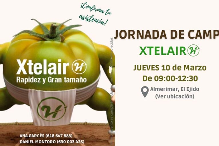 Día 10 de marzo. Jornada de tomate de Hazera