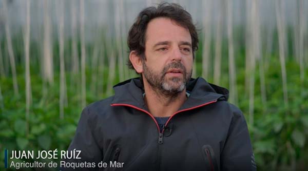 Juan José, cultivos con ProAct de Plant Health Care y su bioestimulante ecológico