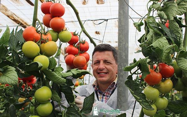 Manuel Hernández, especialista de tomate de Rijk Zwaan. / agroautentico.com