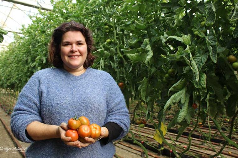 El proyecto Lygalán o la búsqueda del sabor en tomate