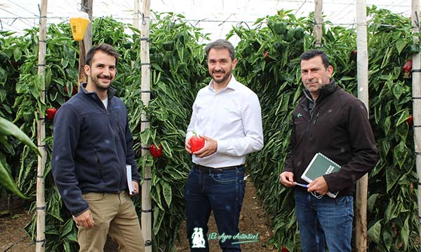 Matías García de Sakata con Alejandro y Serafín, técnicos de la cooperativa Cabasc / agroautentico.com
